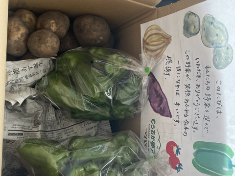 【１人１回だけの特別品】ピーマンとじゃがいも(きたあかり)セット！
【父の日ギフト】