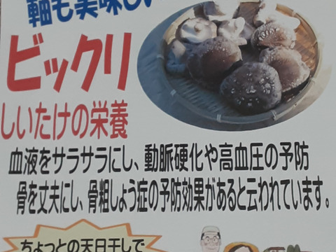 お値段据え置き❣プリップリ食感の芽欠き椎茸1㎏❣ 3点限り‼：神奈川