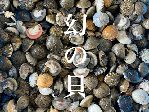 【獲れ次第発送】天然活ながらみ【1k】小サイズ