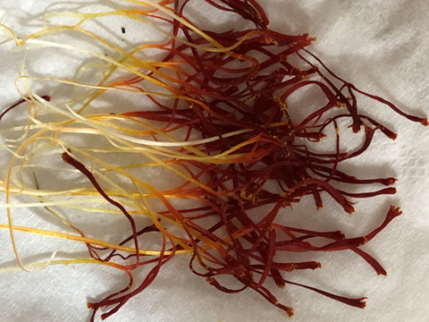 【福袋】新春初物セット 自生の日本の山柚子の陳皮50g ＆ 農家自慢の香り豊かな乾燥赤唐辛子50g ＆ 稀少な国産自然農法栽培のサフラン40本入ります。盛りだくさんの新春福袋セットです。