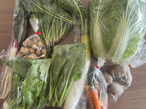 根っこ農園　自然風味お野菜セット