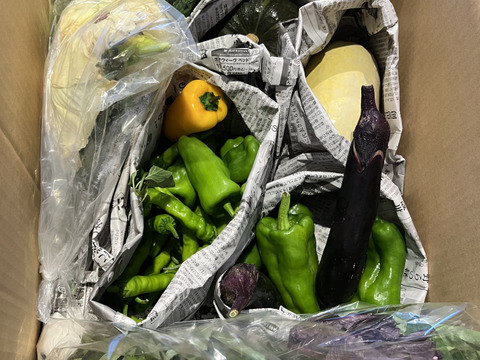 〈販売再開しました〉【京都美山】田歌舎 お野菜詰め合わせ【循環農法】