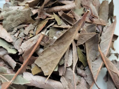 ブルーベリーの葉茶（ブルーベリーティー）15g【南房総産・特別なブルーベリー】竹チップで育てたブルーベリーの葉を使用（3g×5パック）【房総ブルーベリーくらぶハーブティー】