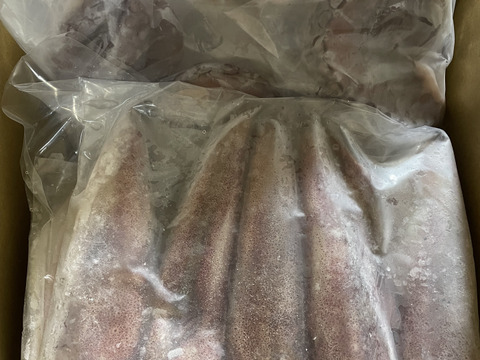 【超低温冷凍イカ・島根県産いか】ケンサキイカ・白イカ・真イカ1kg★漁師直送・ー６０℃