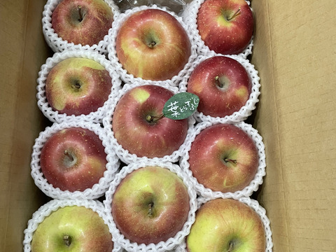 【冬ギフト】 🍎《家庭用》青森完熟葉とらずふじ８〜１５玉(約３kg)🍎ID119812