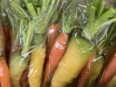 25日発送‼️‼️新鮮お野菜セット‼️どどーんと120サイズでお届け‼️