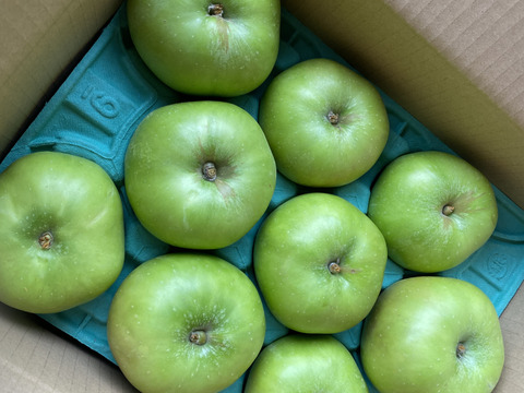 すっぱい！青りんご「ブラムリー」加工用 　13個～20個　5キロ箱