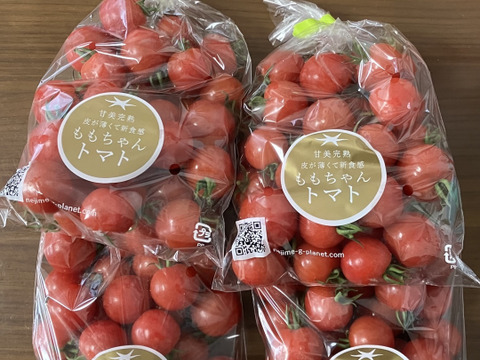 随時発送【まるでフルーツ！薄皮新食感！】"ももちゃんトマト"(0.7k)