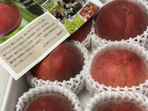 すぐ発送！🍑朝採れ山梨白桃】約2キロ！特大～大サイズ6～7個！一度