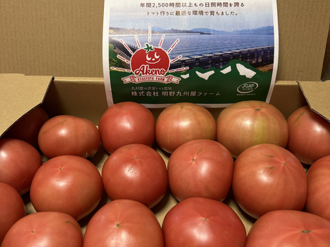 【訳有り品】キズあり不揃いトマト約3.6キロ