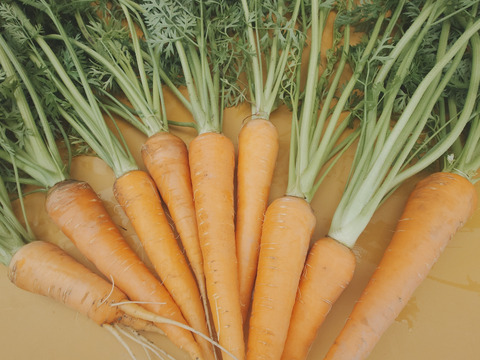 自然栽培　農薬不使用　無肥料　固定種  人参葉 品種 自然農法 にんじん葉つき1キロ60サイズ