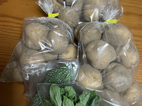 安心安全！『男爵３kg』MSサイズ以上