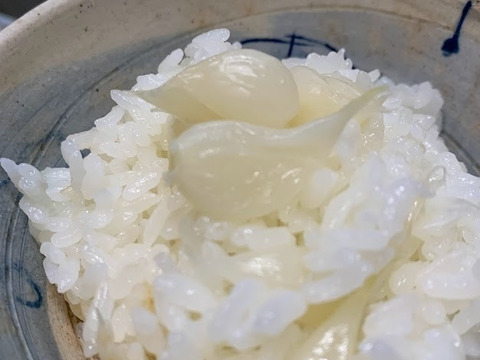 ＜栽培期間中農薬不使用・化学肥料不使用＞旬のぷりぷり生にんにく　にんにくコンフィレシピ＆鷹の爪おまけ付　１Ｋ