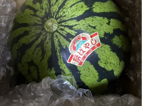 人気No. 1“特選”大玉スイカ🍉3L （8〜9kg）   1玉入り　一つ一つ厳選しお届けします👨🏽‍🌾