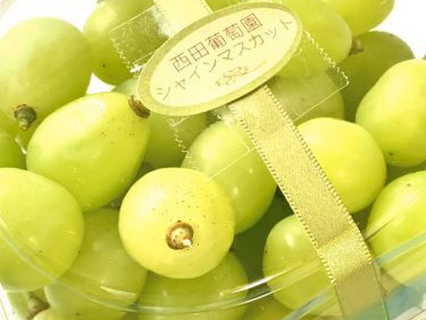 【高糖度、今が旬！】 岡山県産　シャインマスカット　粒パック　700ｇ×2p 1.4㎏ピオーネ　粒パック　700ｇ×2p 1.4㎏　計2.8㎏以上