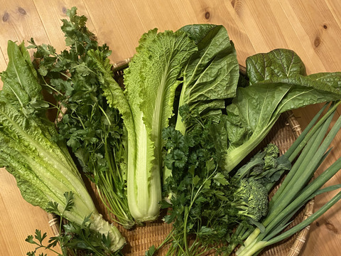 まぁぁっ！っと驚く冬の最強野菜セット　15〜20品目