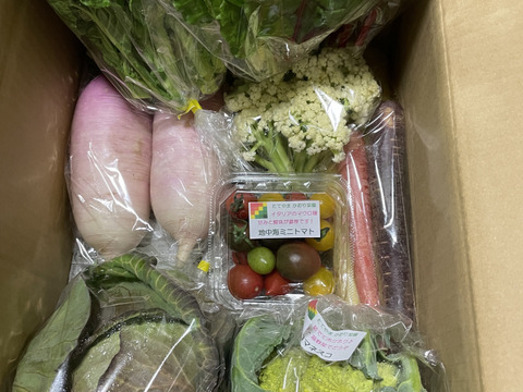 【常温便】カラフル・レア野菜で元気に！
『Ⅿサイズ★カラダ喜ぶ春野菜セット8品目』
初めての野菜でも安心の簡単レシピ付き、贈り物にも最適です！