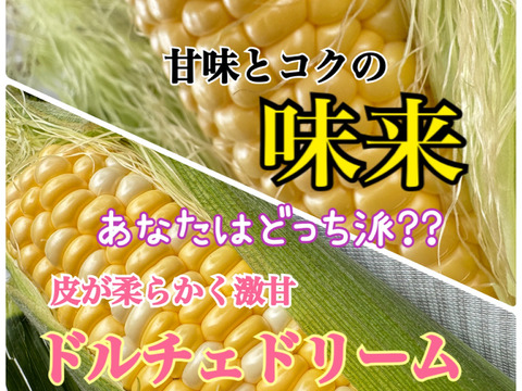 あなたはどっち派⁉️プレミアム味来vsドルチェドリーム楽しい食べ比べセット 6本入