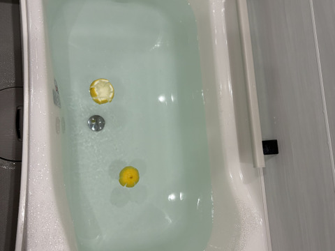 佐賀県太良町産はるか小さめサイズ　3kg超お買い得♥【家庭用】