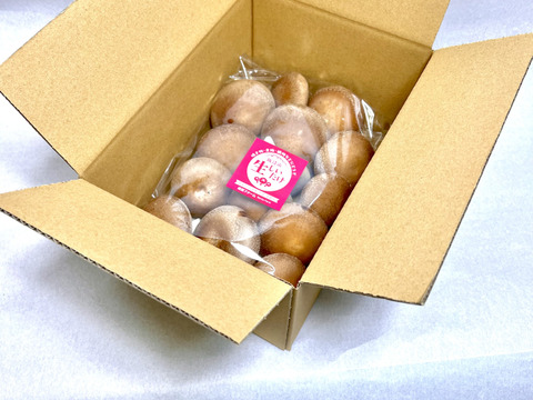 プニプニ食感がやみつき！肉厚しいたけたっぷり2kg