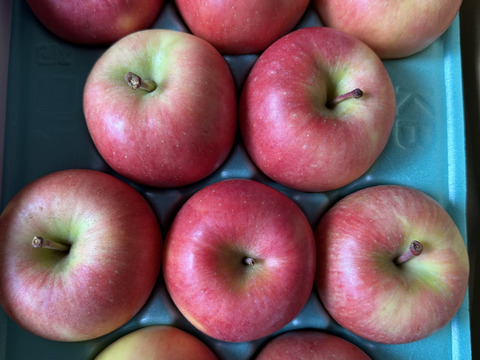 完売御礼✨蜜入りりんご🍎こうとく2kg【青森県特別栽培認証取得】葉とらず栽培 化学肥料不使用 希少品種