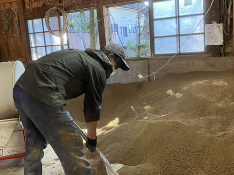予約開始！！　令和7年新米　新商品！大きい粒でとっても美味しい　雪若丸　玄米10キロ（10キロ1袋）
