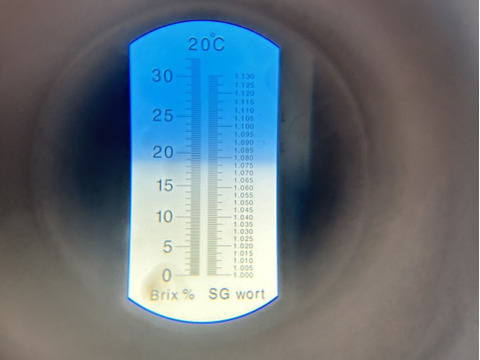 【有明育ちの肥後の大将】肥後グリーンメロン 2玉