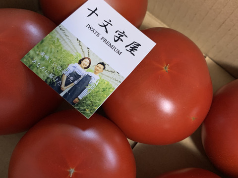[予約販売2024  6/25〜] 大玉トマト　りんか　初採り果１００%　　『大きめ１０玉前後　２kg』