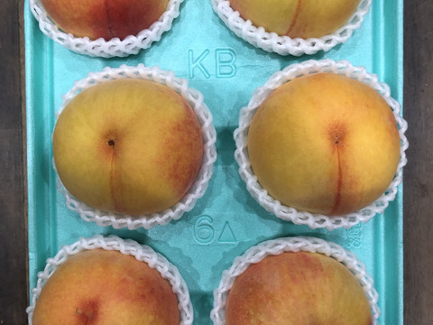 黄金桃6玉　A級