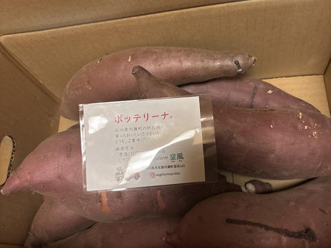 【残り僅か】【特大サイズ！】ねっとりとした食感と濃厚な甘さのさつまいも　ポッテリーナ(5kg)
