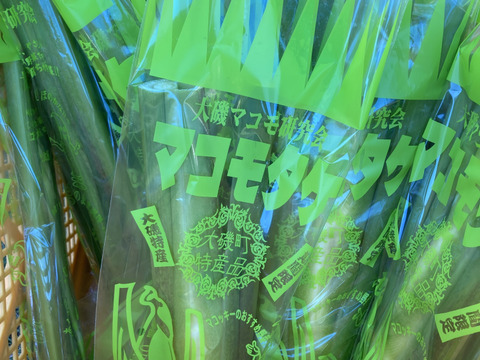 【1週間限定】かながわブランド 大磯マコモ(1kg 8〜10本)【栽培期間中農薬不使用】