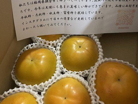 サクサク食感！人気急上昇中の太秋柿3キロ