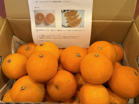 【味に自信あり　3k箱　愛媛のまどんな 　ゼリーのような食感　愛果28号　除草剤使用無 万田酵素散布】