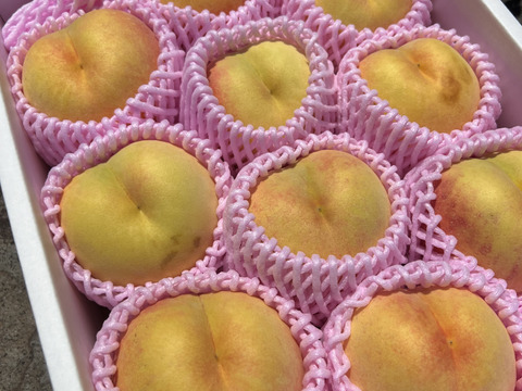 [2025年予約受付中]
長野県産　つきあかり2.5kg（約6~10個）