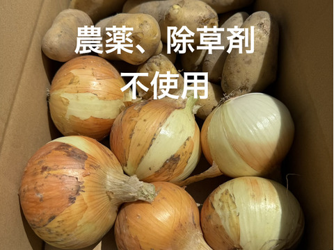 【淡路島の常備野菜セット】農薬・除草剤不使用の玉ねぎ＆じゃがいも｜カレー・肉じゃがにおすすめ
