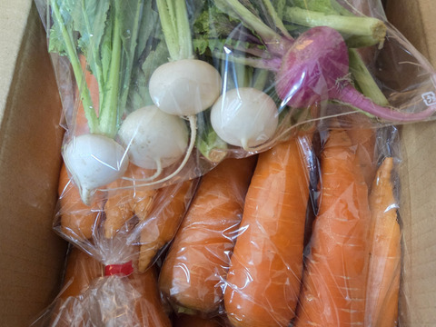 にんじん黒田五寸