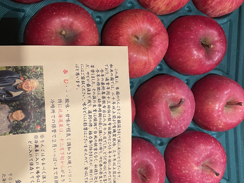 【予約販売・限定15セット】やっぱり“ふじ”が好き！余市産パリっとりんご(ご家庭用  5kg)