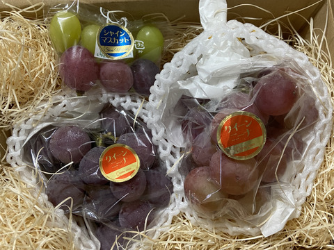 お買い得品！濃厚果汁クイーンニーナ　800g小中房2～3房　『クール便』