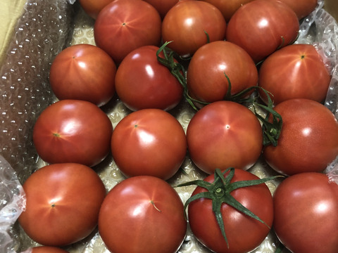 昔ながらのトマト🍅８０サイズ箱詰め(2S玉)