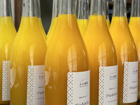 丸ごと生しぼり！〖農薬不使用〗飲み比べ柑橘ジュース　八朔/甘夏各２本計４本入り無添加100％《愛媛県大三島産》