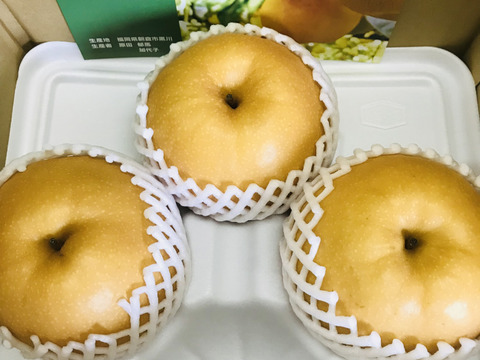味に自信あり‼️【大きさにも美味しさにびっくり‼️】新高梨贈答用2.0kg以上(特大2-3個入)✨樹上完熟なので、甘くてとってもフルーティー✨️お届け後の日持ちを良くする為クール便で発送🚚
