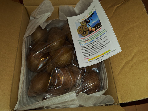 ゴールドキウイふる～つ　規格外Ｓサイズ２Ｋ箱【品種・東京ゴールド】）