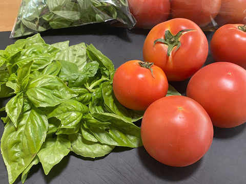 【京都産】露地で育てた香り高いバジル（スイートバジル）　500ｇ