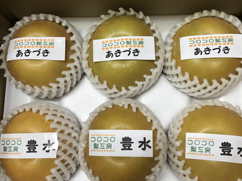 【旬の梨食べ比べ‼️2品種】何が届くかお楽しみ😋贈答用約2.2kg✨️豊水・あきづき・かおり・あきあかり・二十世紀・南水・にっこり・新高・王秋・新興・愛宕の中から2品種詰め合わせ‼️