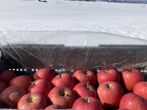 【期間数量限定】希少！雪室熟成りんご　20個（5キロ）