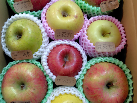 【2箱セット】☆農薬不使用りんご☆と特別栽培りんご(品種おまかせ)詰め合わせ3キロ（８〜１２玉）