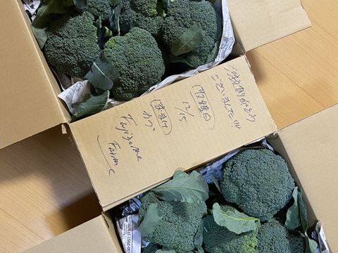 【予約販売】赤城の寒締めブロッコリー！12コ入り(約3.9kg）※群馬県特別農産物認証基準準拠