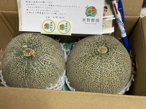 【イチオシ！】果汁したたる『タカミメロン』1.3kg×2玉