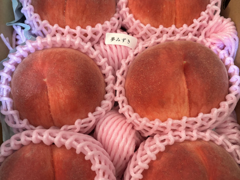 【有機栽培の美味しい桃約2kg（第二期）】自然に優しく希少でジューシーな天然桃(6～7個入)！