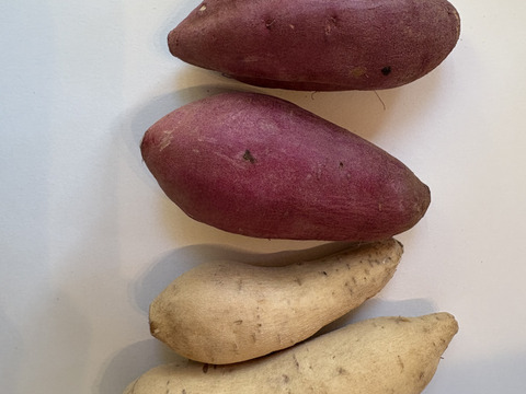 今話題！！希少な新品種のサツマイモ「きみまろこ」と「べにはるか」の食べ比べセット！贈答用に、ご挨拶に、手土産に！
きみまろこは上品な甘さでしっとり
べにはるかは濃厚な甘さとねっとり